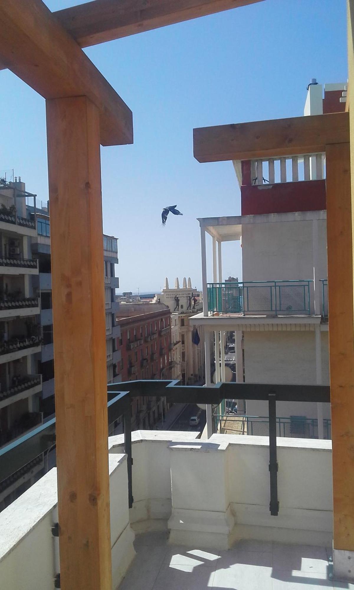 Monolocale Sonnino Cagliari Exterior foto